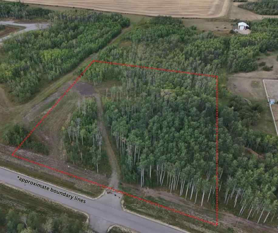 MLS® A2165325 - Unit #6 714066 Range Road 74   in NONE Rural Grande Prairie No. 1, County of, Land