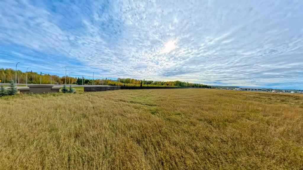 MLS® A2165334 - 125005 Township Road 594D   in NONE Rural Woodlands County, Land