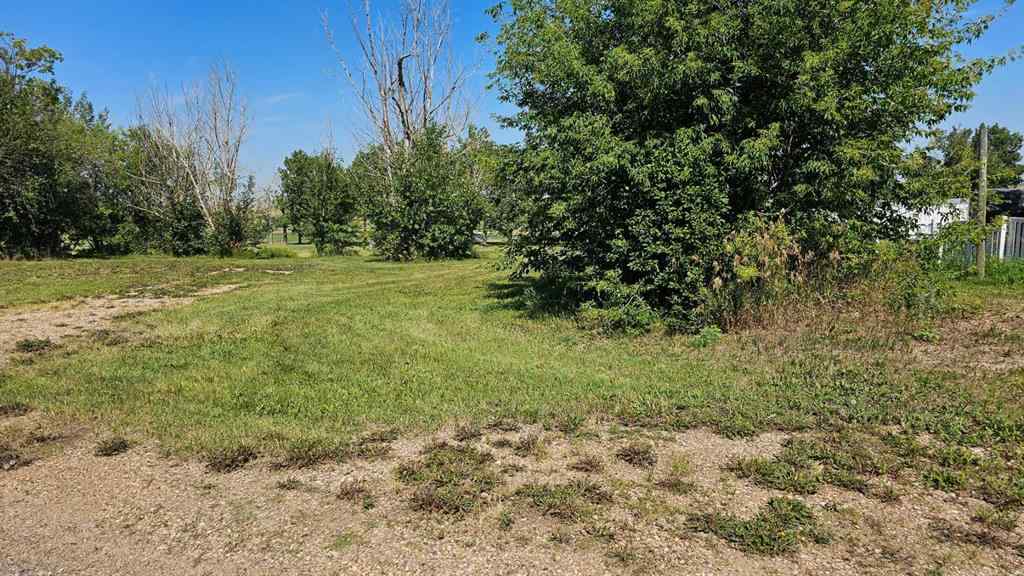 MLS® A2165464 - 5218 Imperial Lane  in NONE Coronation, Land