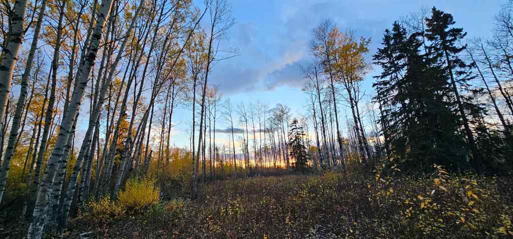 MLS® A2168747 -  92 Range  in NONE Rural Saddle Hills County, Land