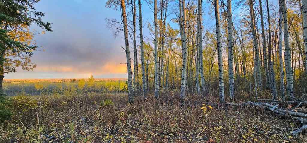 MLS® A2168747 -  92 Range  in NONE Rural Saddle Hills County, Land