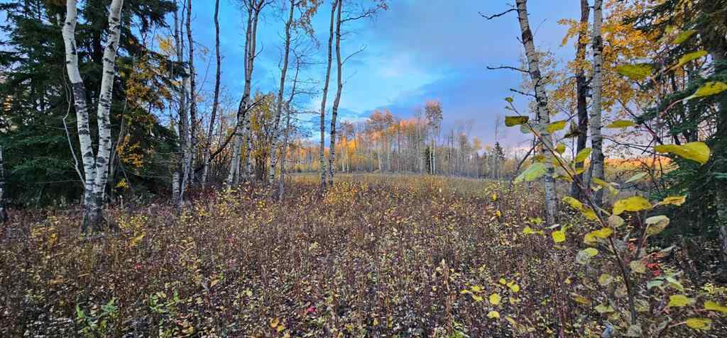 MLS® A2168747 -  92 Range  in NONE Rural Saddle Hills County, Land