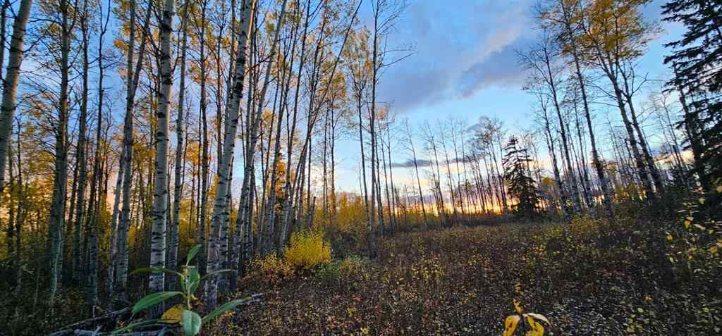 MLS® A2168747 -  92 Range  in NONE Rural Saddle Hills County, Land