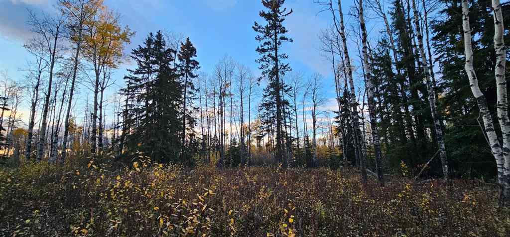 MLS® A2168747 -  92 Range  in NONE Rural Saddle Hills County, Land