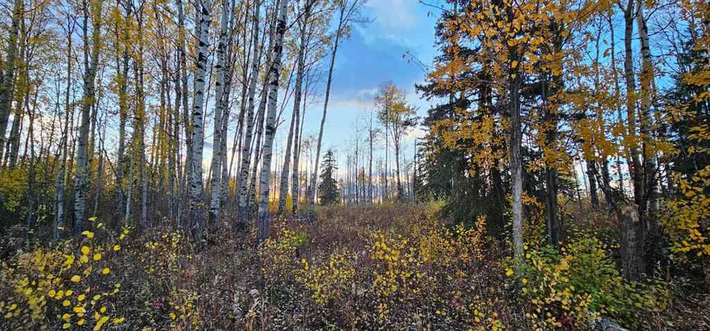 MLS® A2168747 -  92 Range  in NONE Rural Saddle Hills County, Land