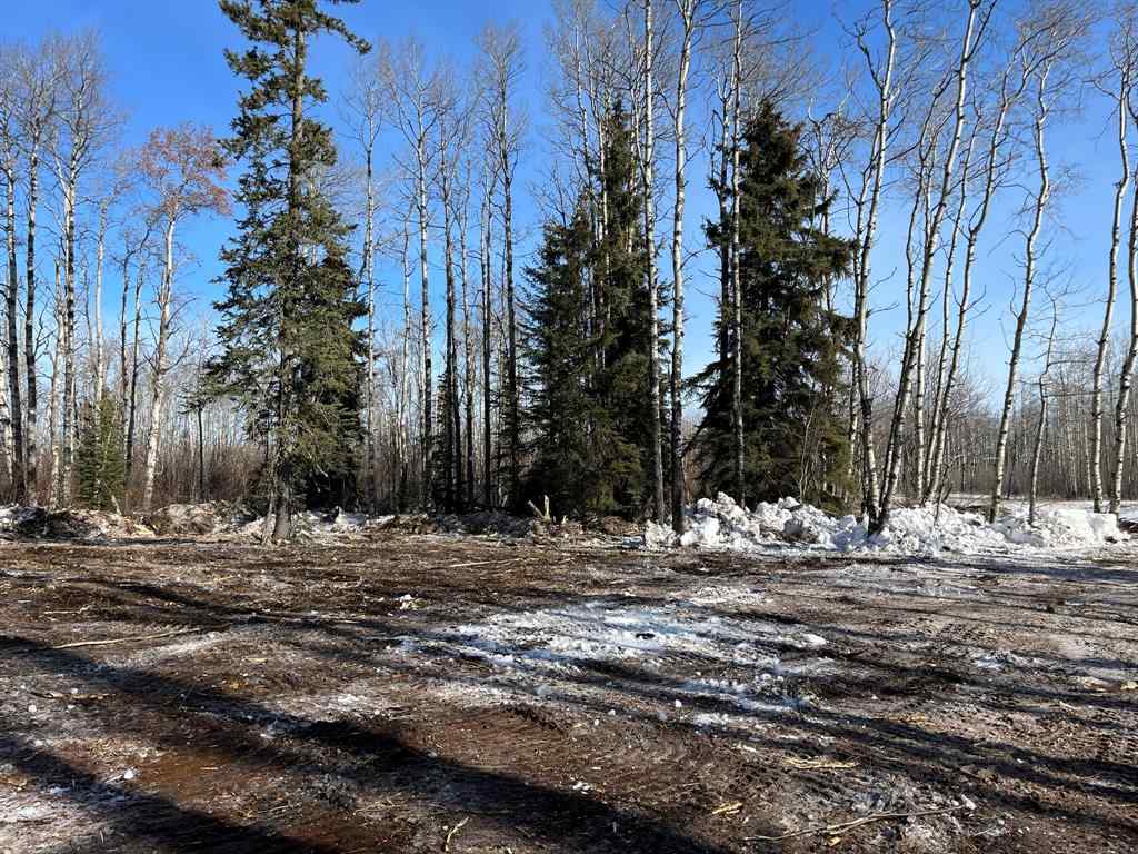 MLS® A2168747 -  92 Range  in NONE Rural Saddle Hills County, Land