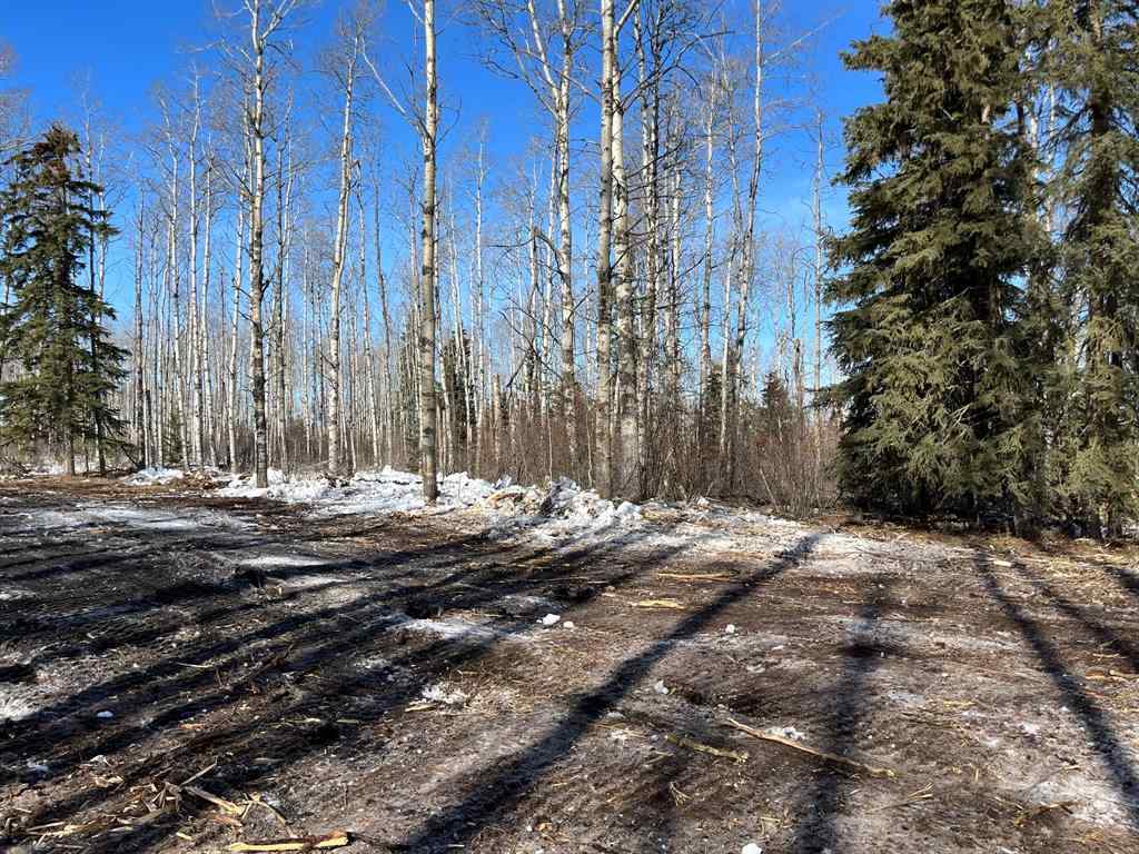 MLS® A2168747 -  92 Range  in NONE Rural Saddle Hills County, Land