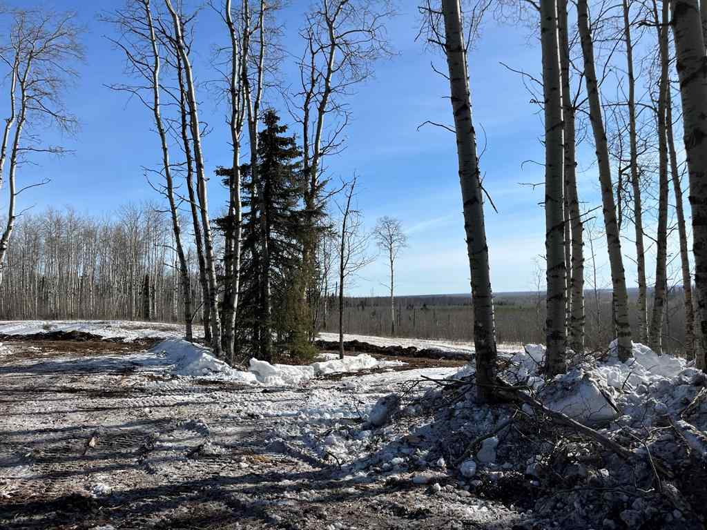 MLS® A2168747 -  92 Range  in NONE Rural Saddle Hills County, Land