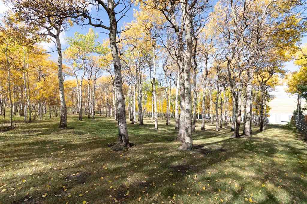 MLS® A2170630 - 7132 Range Road 2-1 Range  in NONE Lundbreck, Residential
