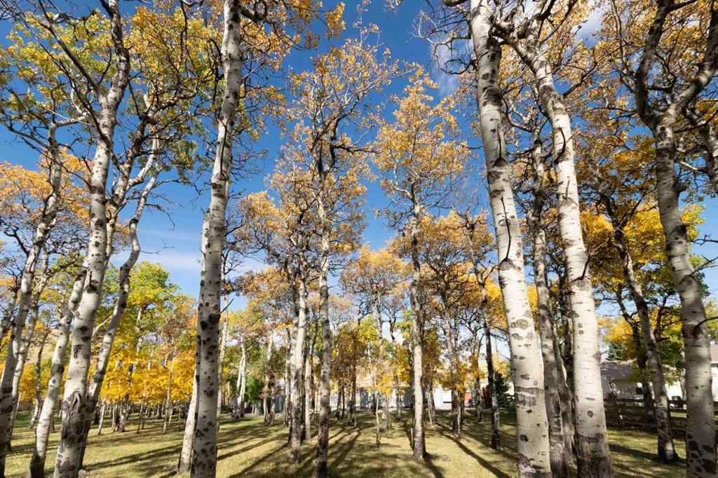 MLS® A2170630 - 7132 Range Road 2-1 Range  in NONE Lundbreck, Residential