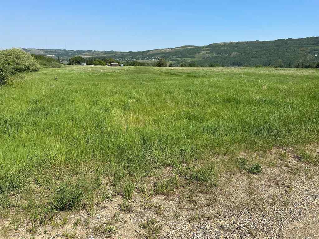 MLS® A2170785 - Lot 40   in Rosedale Peace River, Land