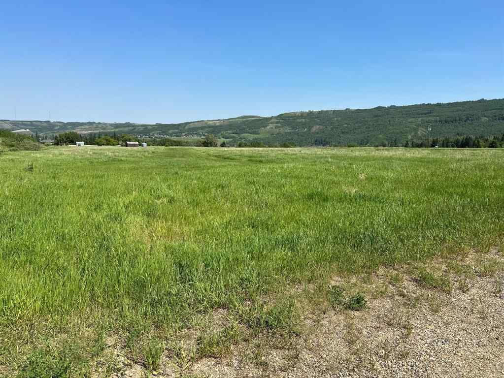 MLS® A2170785 - Lot 40   in Rosedale Peace River, Land