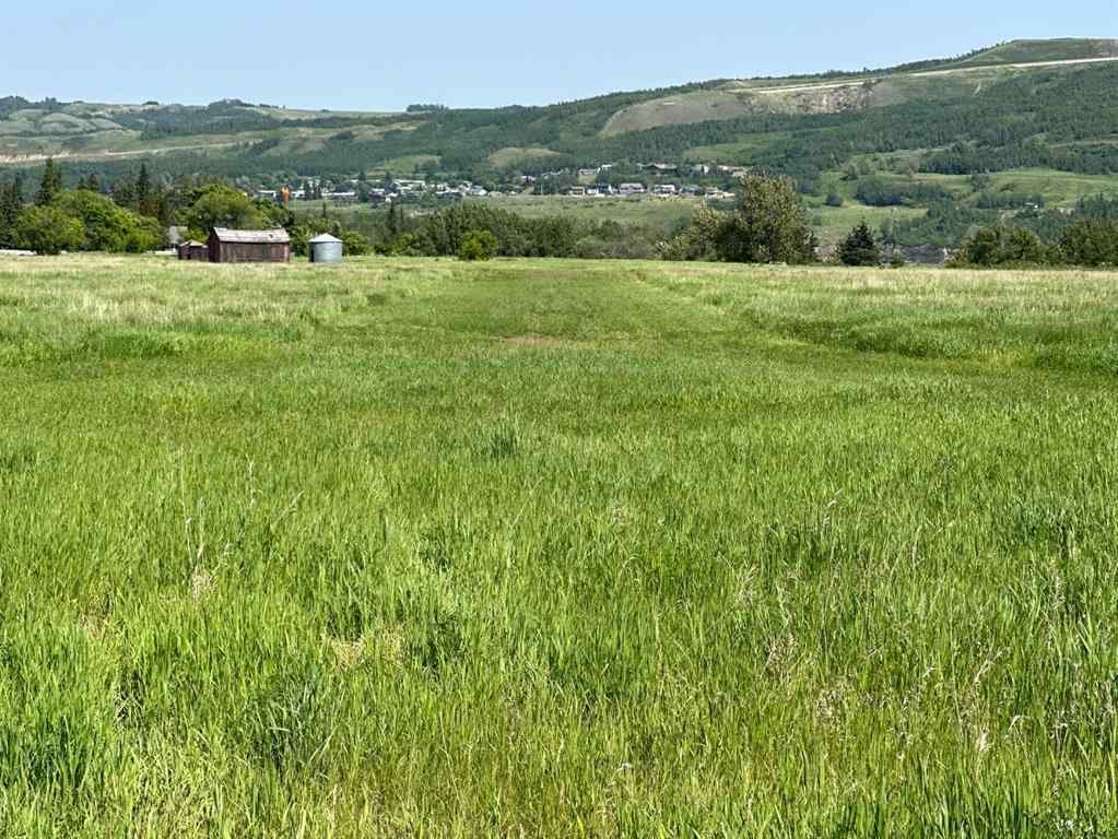 MLS® A2170790 - On River Lot 40 East of Highway 684 Shaftsbury Trail Highway  in Rosedale Peace River, Agri-Business