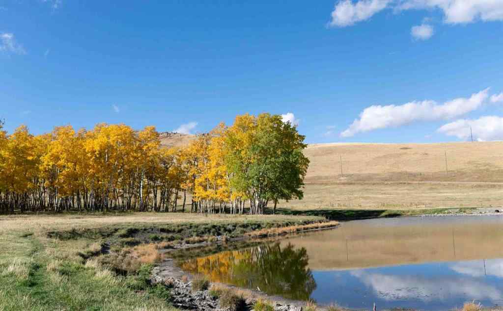 MLS® A2171119 - 7132 2-1 Range  in NONE Lundbreck, Agri-Business