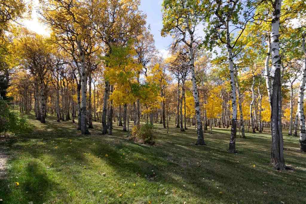 MLS® A2171119 - 7132 2-1 Range  in NONE Lundbreck, Agri-Business