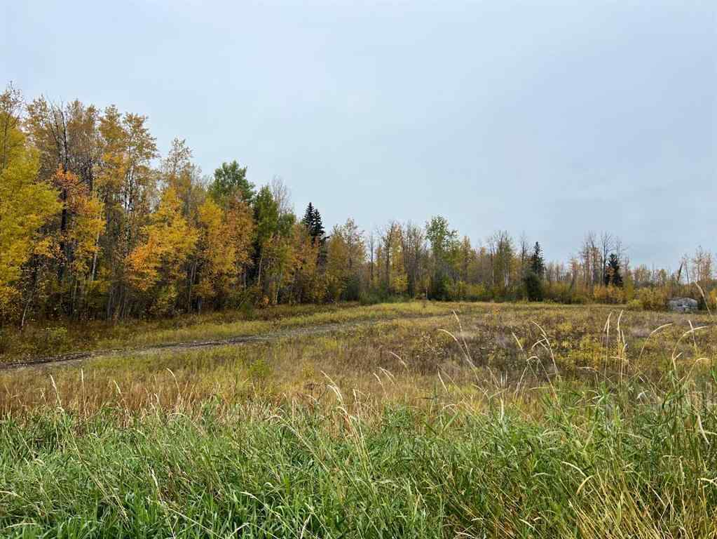 MLS® A2172602 - 65322 Hwy 43   in NONE Little Smoky, Land