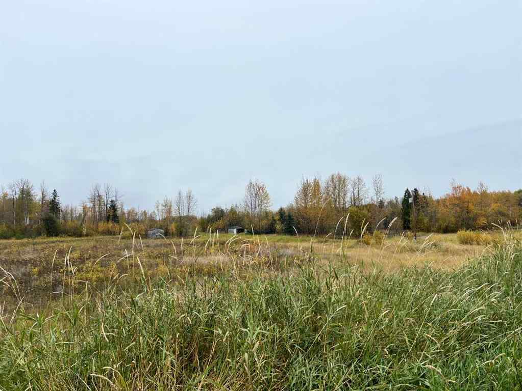 MLS® A2172602 - 65322 Hwy 43   in NONE Little Smoky, Land