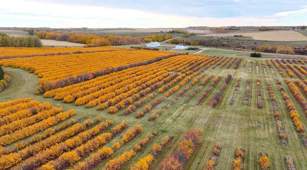 MLS® A2173408 - 29250 RR 34   in NONE Rural Mountain View County, Agri-Business