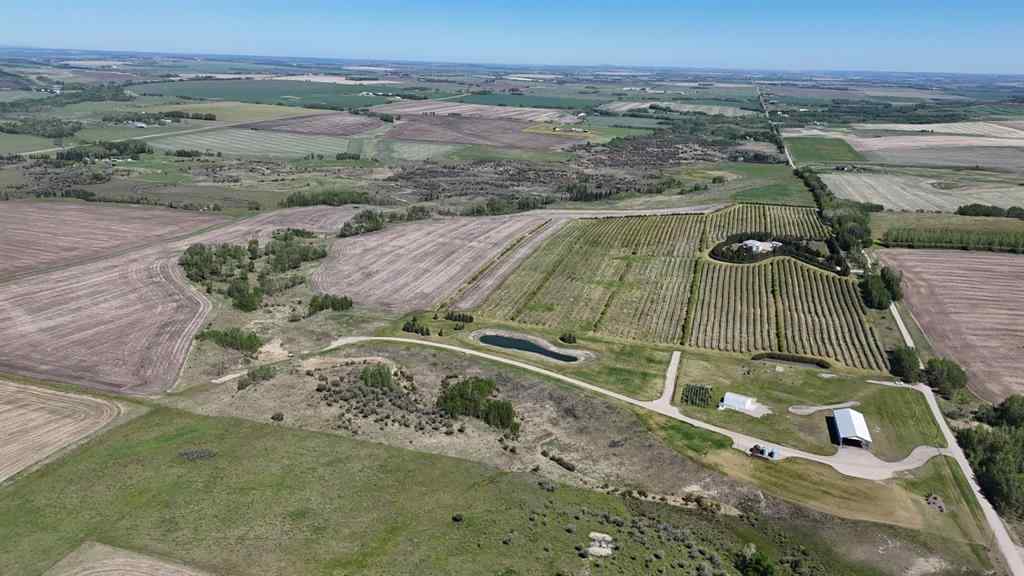 MLS® A2173408 - 29250 RR 34   in NONE Rural Mountain View County, Agri-Business