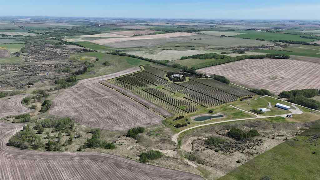 MLS® A2173408 - 29250 RR 34   in NONE Rural Mountain View County, Agri-Business