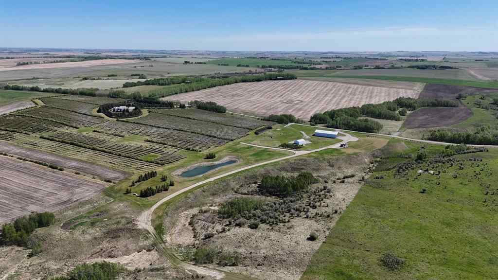 MLS® A2173408 - 29250 RR 34   in NONE Rural Mountain View County, Agri-Business