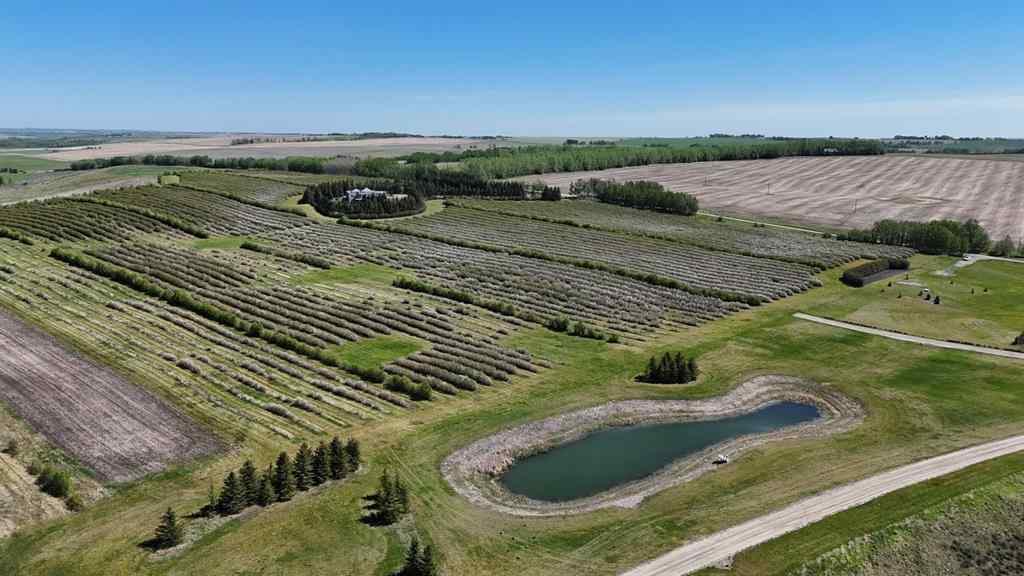 MLS® A2173408 - 29250 RR 34   in NONE Rural Mountain View County, Agri-Business