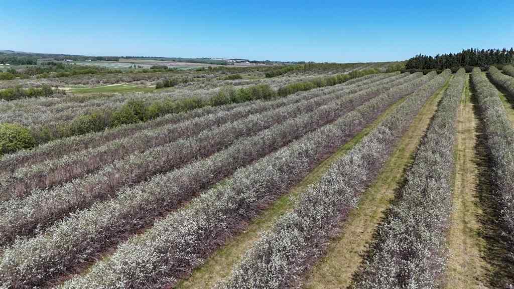 MLS® A2173408 - 29250 RR 34   in NONE Rural Mountain View County, Agri-Business