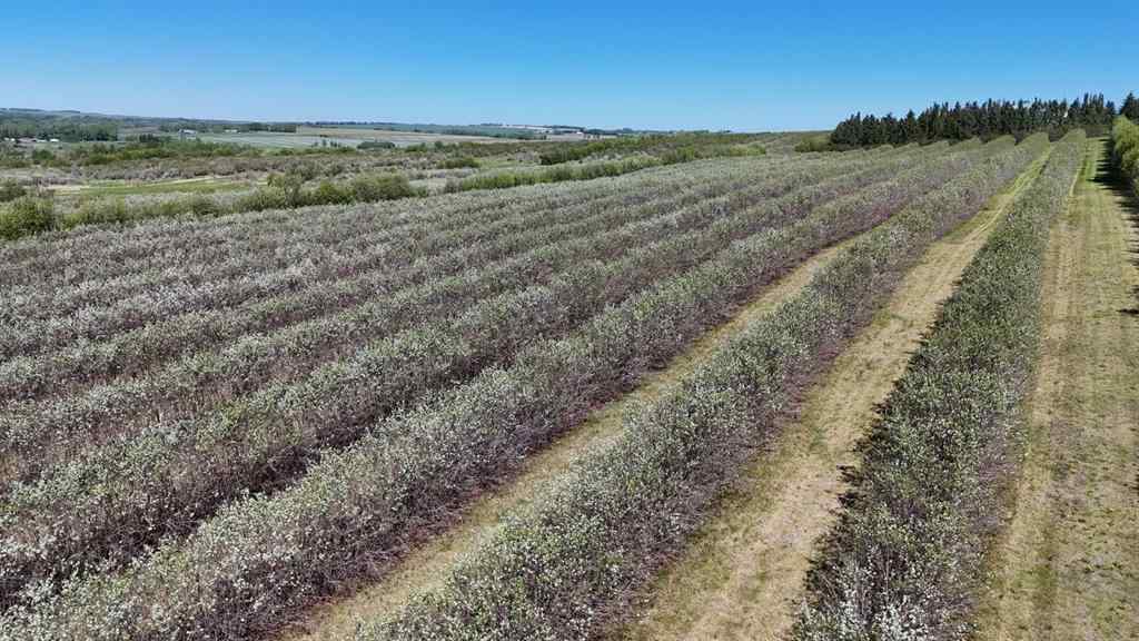 MLS® A2173408 - 29250 RR 34   in NONE Rural Mountain View County, Agri-Business