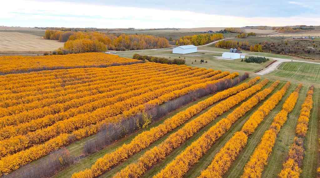 MLS® A2173408 - 29250 RR 34   in NONE Rural Mountain View County, Agri-Business