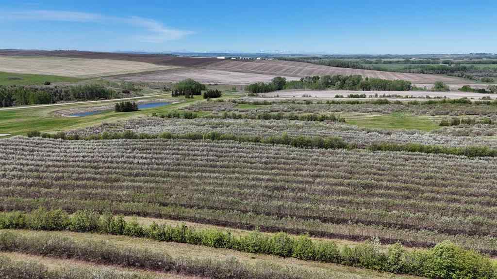MLS® A2173408 - 29250 RR 34   in NONE Rural Mountain View County, Agri-Business