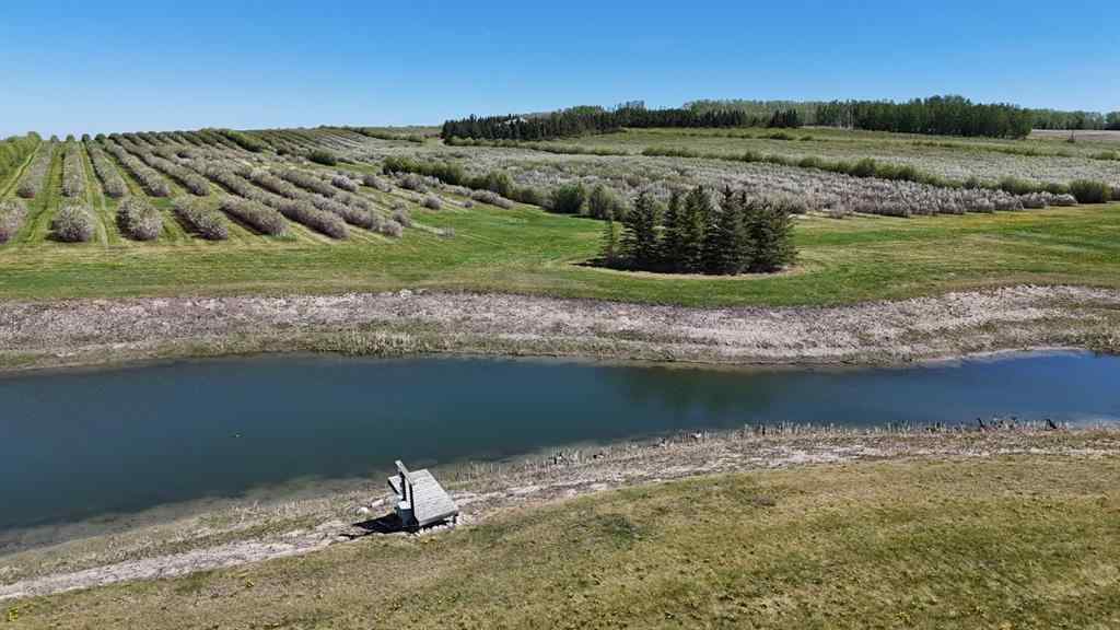 MLS® A2173408 - 29250 RR 34   in NONE Rural Mountain View County, Agri-Business