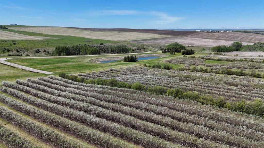 MLS® A2173408 - 29250 RR 34   in NONE Rural Mountain View County, Agri-Business