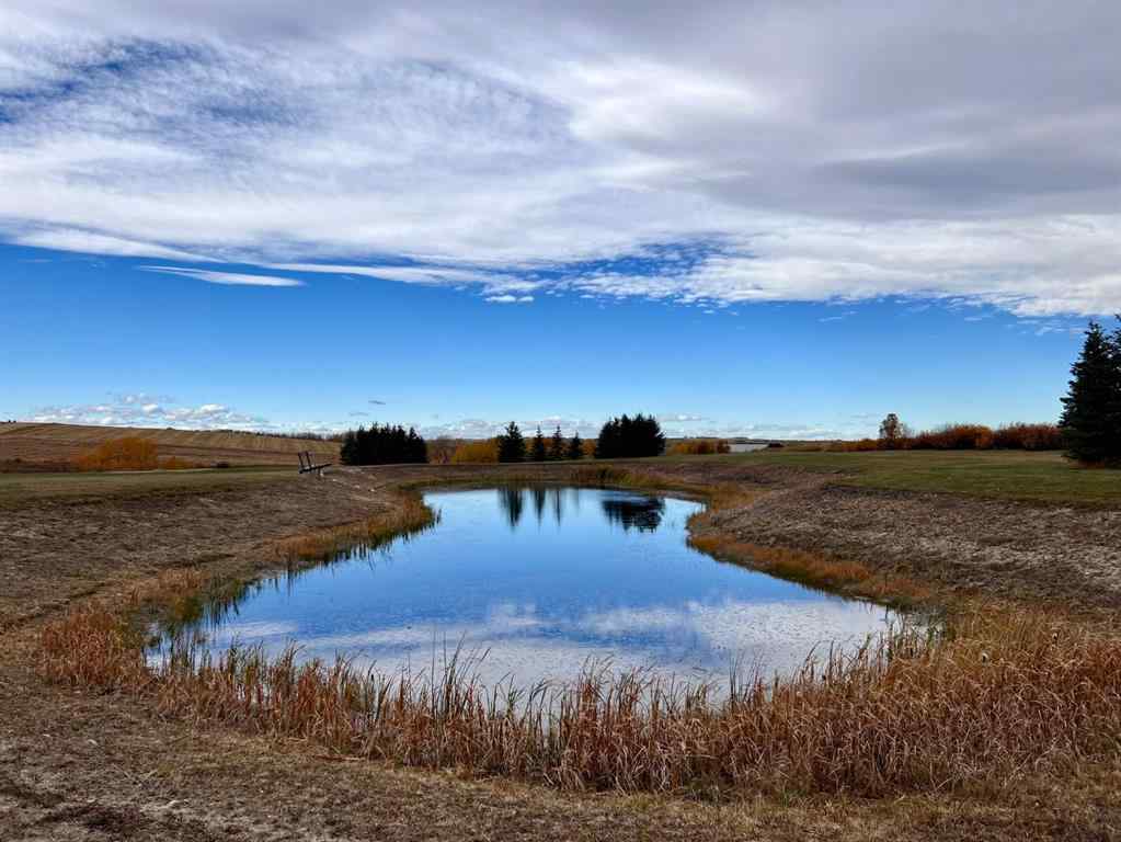 MLS® A2173408 - 29250 RR 34   in NONE Rural Mountain View County, Agri-Business