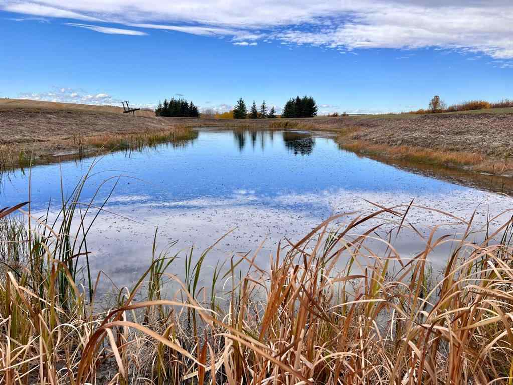 MLS® A2173408 - 29250 RR 34   in NONE Rural Mountain View County, Agri-Business