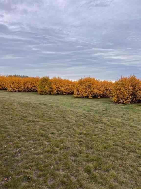 MLS® A2173408 - 29250 RR 34   in NONE Rural Mountain View County, Agri-Business