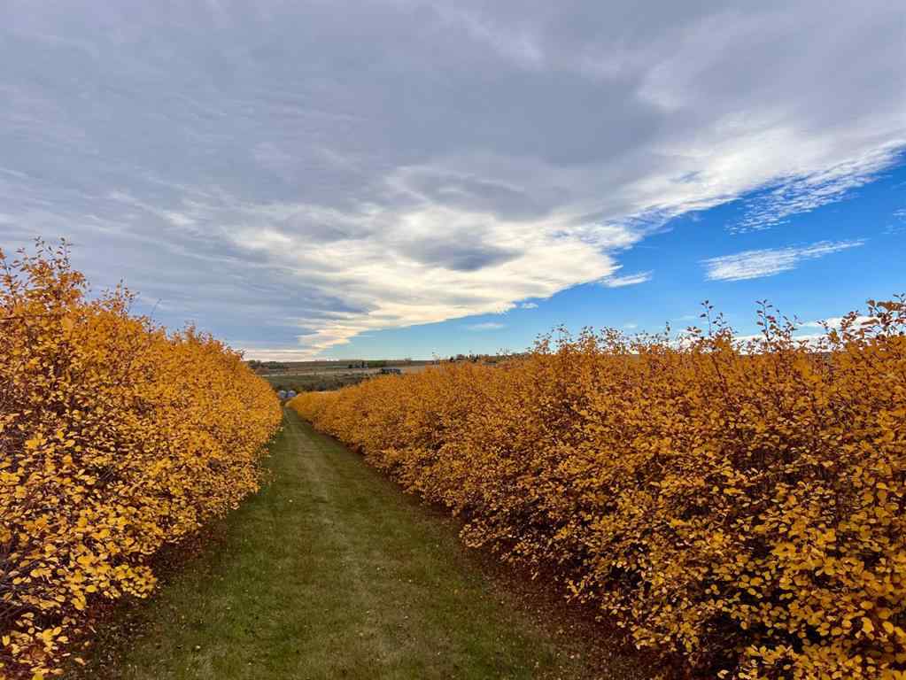 MLS® A2173408 - 29250 RR 34   in NONE Rural Mountain View County, Agri-Business
