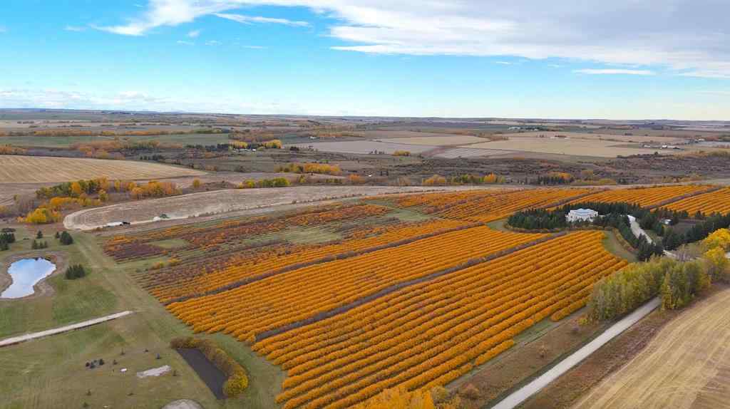 MLS® A2173408 - 29250 RR 34   in NONE Rural Mountain View County, Agri-Business