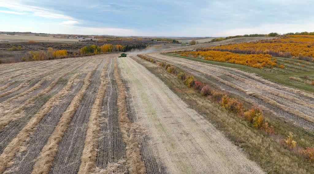 MLS® A2173408 - 29250 RR 34   in NONE Rural Mountain View County, Agri-Business