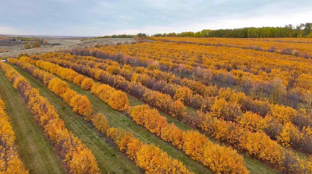 MLS® A2173408 - 29250 RR 34   in NONE Rural Mountain View County, Agri-Business