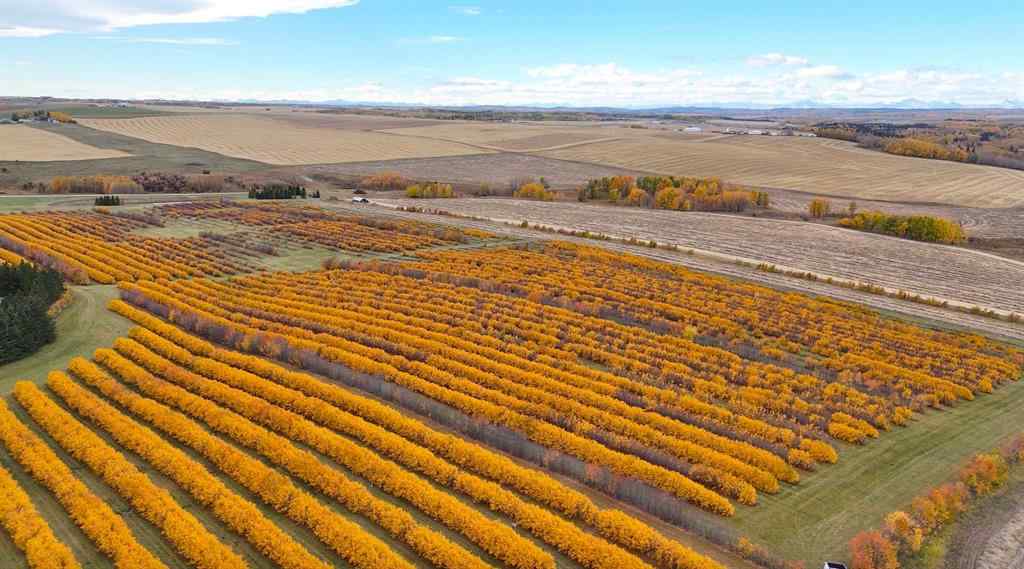 MLS® A2173408 - 29250 RR 34   in NONE Rural Mountain View County, Agri-Business
