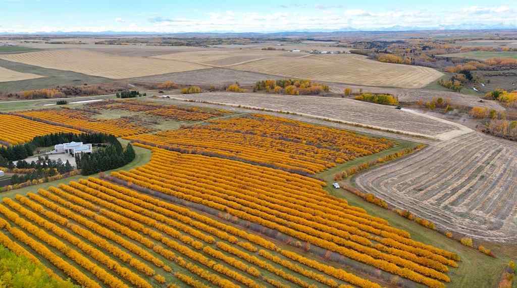 MLS® A2173408 - 29250 RR 34   in NONE Rural Mountain View County, Agri-Business
