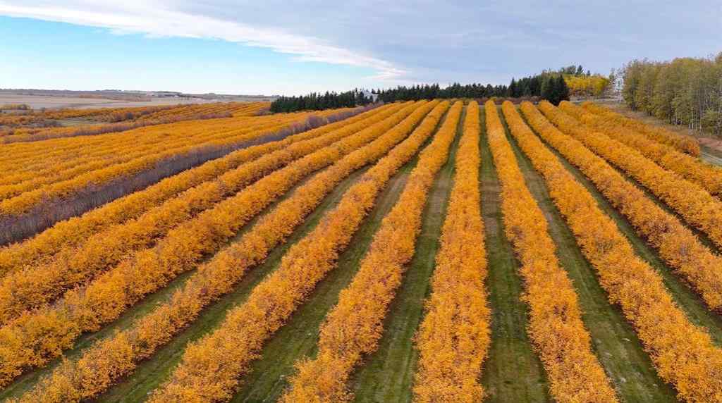 MLS® A2173408 - 29250 RR 34   in NONE Rural Mountain View County, Agri-Business