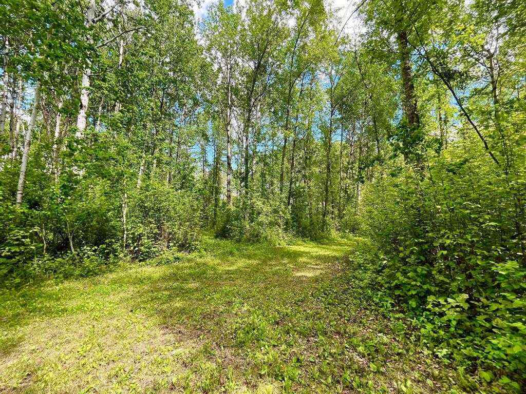 MLS® A2174426 - 10 15023 Highway 55   in Lac La Biche Lac La Biche, Land