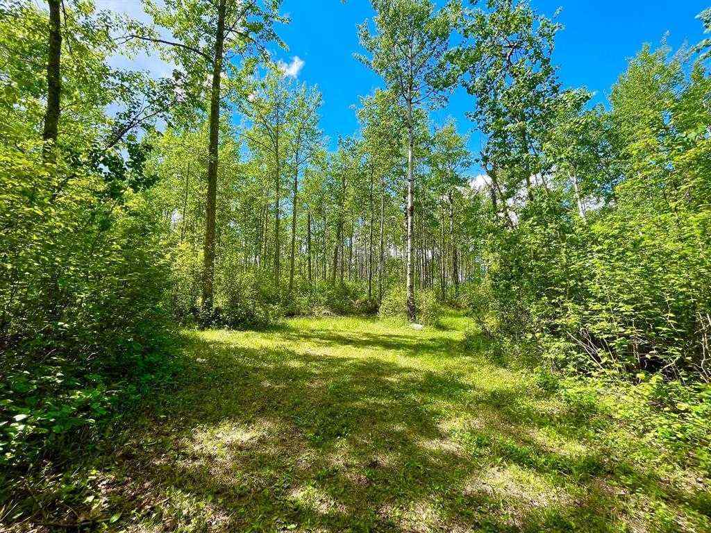 MLS® A2174426 - 10 15023 Highway 55   in Lac La Biche Lac La Biche, Land