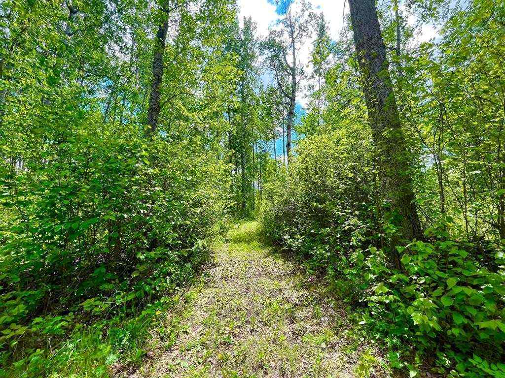 MLS® A2174426 - 10 15023 Highway 55   in Lac La Biche Lac La Biche, Land