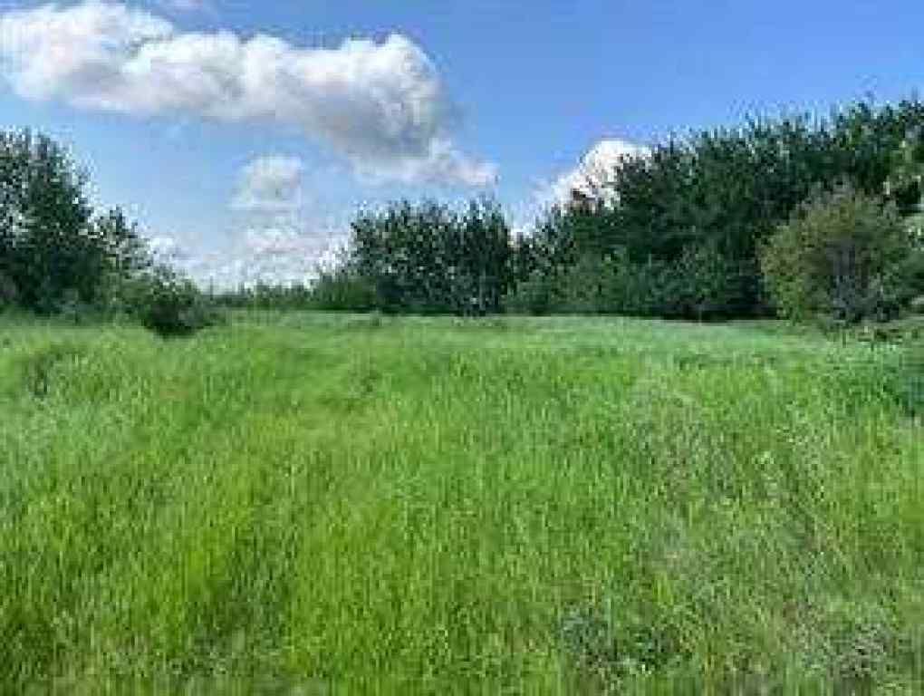 MLS® A2174599 - 113 67062 Mission Road  in Lac La Biche Lac La Biche, Land