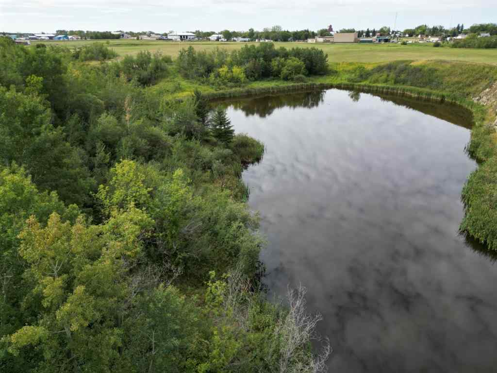 MLS® A2175147 -  North and East of 54 A Street Street  in Federal Rural Paintearth No. 18, County of, Agri-Business