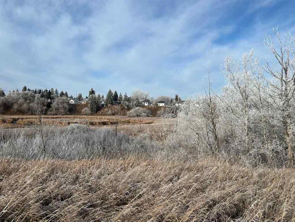 MLS® A2175147 -  North and East of 54 A Street Street  in Federal Rural Paintearth No. 18, County of, Agri-Business