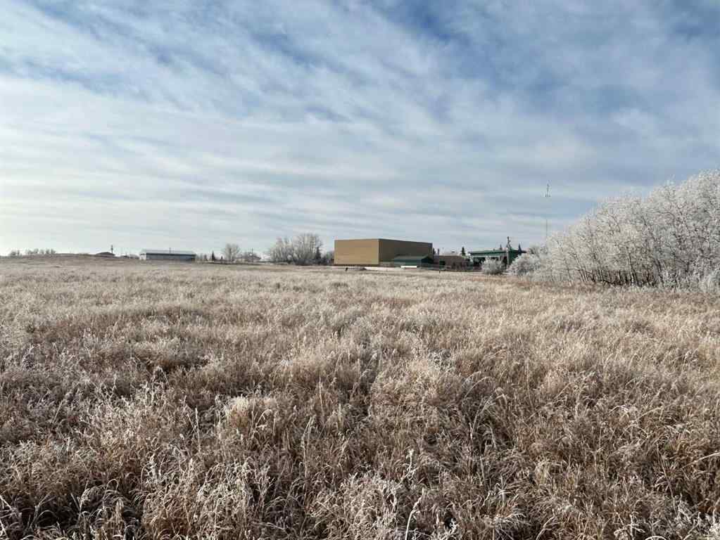 MLS® A2175147 -  North and East of 54 A Street Street  in Federal Rural Paintearth No. 18, County of, Agri-Business