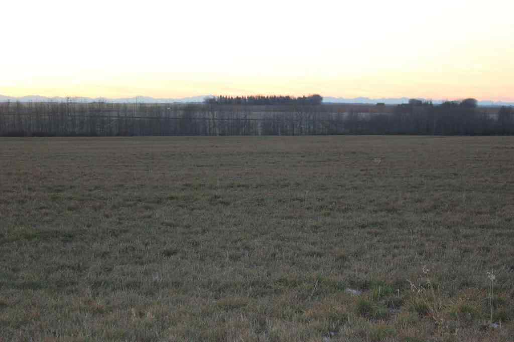 MLS® A2176460 - 1542 Township Road 324   in NONE Rural Mountain View County, Land